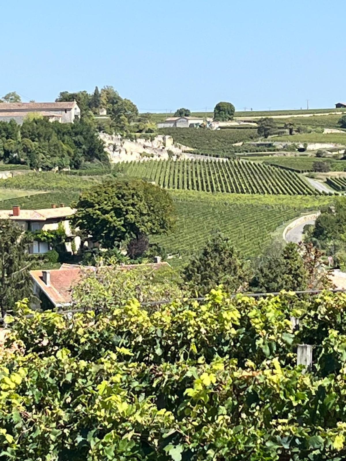 Les Logis Des Vignobles Saint Emilion En Duplex N 2 Avec Terrasse Apartment Luaran gambar